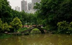 重庆最近的公园（重庆最近的公园哪个地方好玩一点）