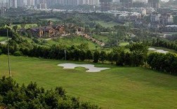 重庆市远洋高尔夫房价（重庆远洋高尔夫球场介绍）