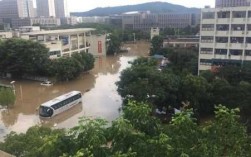 重庆房地产学院被淹（重庆房地产学院被淹了吗）