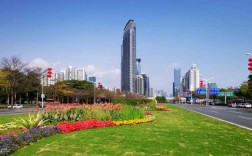 关于深圳街道绿化美景图的信息