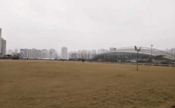 重庆奥体公园在哪里（重庆奥体体育公园门票）