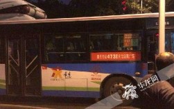 重庆公交265（重庆公交265路车路线查询）