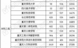 重庆高考排行榜（重庆高考前十）