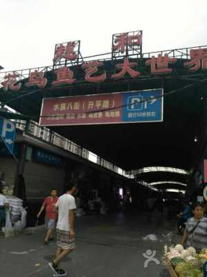 广州丰乐花鸟鱼虫街（广州丰乐花鸟鱼虫市场）-图3