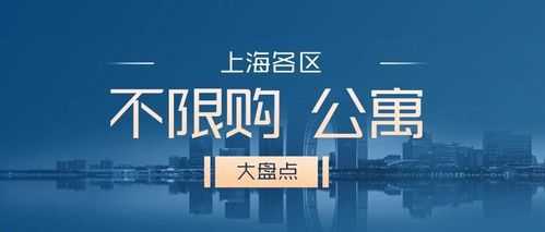 上海首次购商住房首付（上海商住房限购政策）