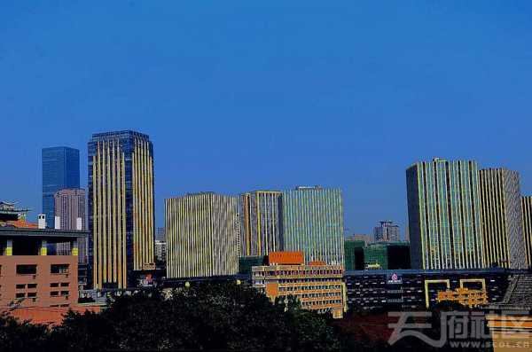 重庆东林广场（成都东林商业广场）-图3