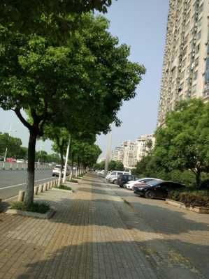 沿江街道在南京排名（江苏省南京市沿江街道是属于哪个区）-图2