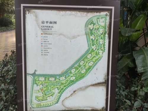 象屿两江公元是哪个街道（象屿两江公元划片小学）-图2
