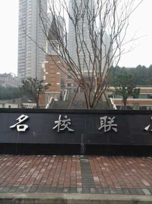 重庆市名校（重庆市名校联合外语小学）-图1