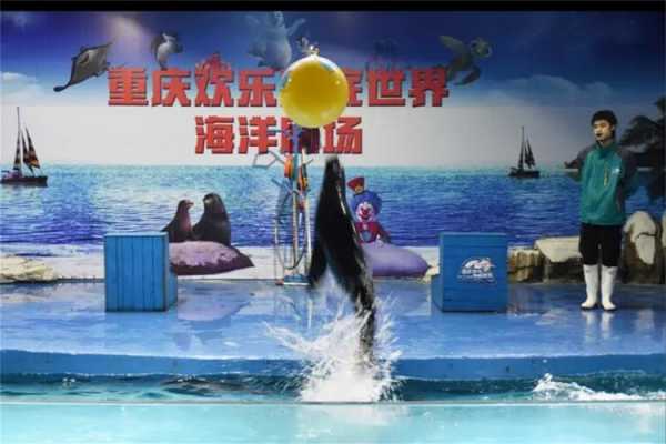 重庆新天地海洋公园（重庆新天地海洋公园开放时间）-图3