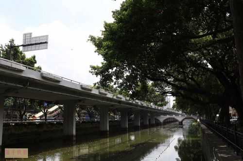 广州江高桥（广州高桥属于哪个区）-图1