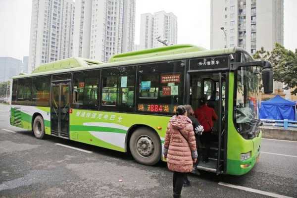 重庆481公交电话（重庆418公交车电话）-图3