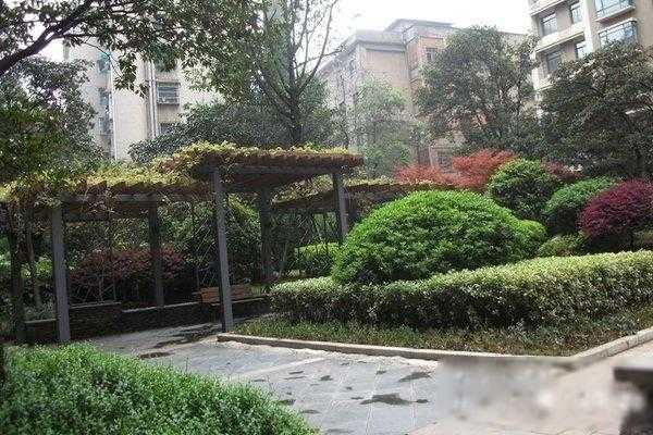 重庆中江国际花园（中江国际花城属于什么社区）-图2
