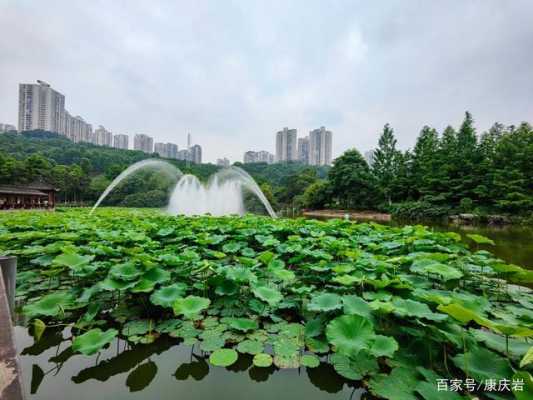 重庆最近的公园（重庆最近的公园哪个地方好玩一点）-图2