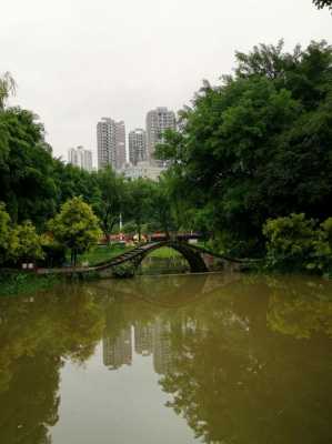 重庆大渡口公园花园（重庆大渡口公园花园地址）