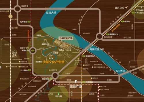 重庆沙坪坝沙磁巷房价（重庆沙磁巷规划2020）-图2