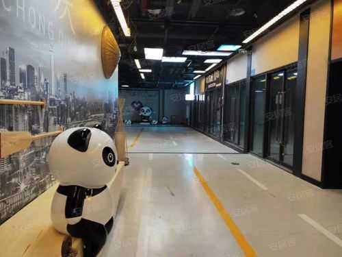 重庆市熊猫公馆项目（重庆市熊猫公馆在哪个社区）