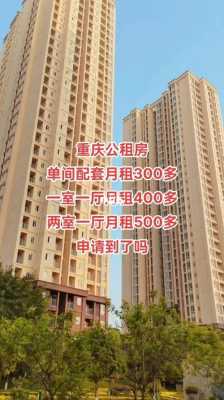 重庆公租房热水器（重庆公租房水电气）-图3