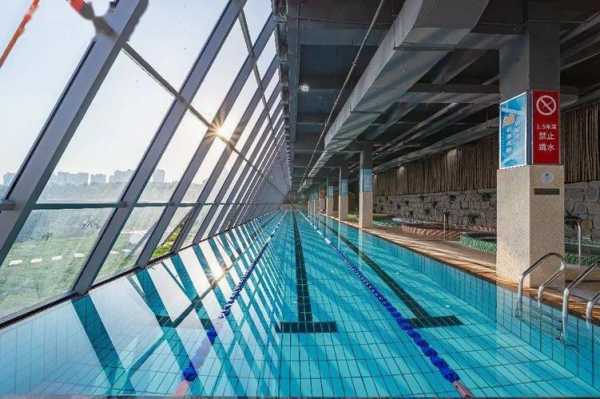 重庆560米（重庆50米标准游泳池）-图1