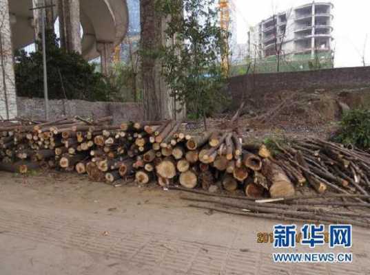 重庆物管公司（重庆物管公司移植砍伐树木罚款）