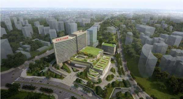 重庆市人民医院照母山（重庆市人民医院照母山是公立还是私立）-图3