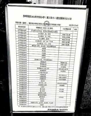重庆沙区小学排名（沙区最好的小学排名）-图1