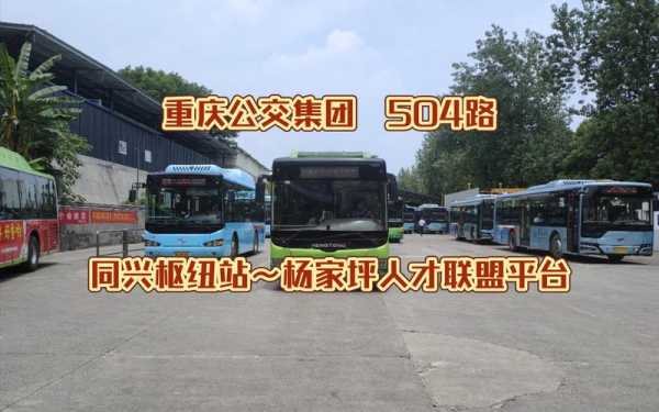 重庆公交504路线查询（重庆504路电话）-图3