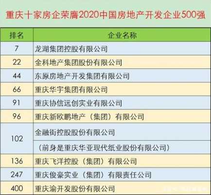 重庆几大房地产开发商（重庆有名的房地产开发公司有哪些）-图1