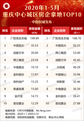 重庆几大房地产开发商（重庆有名的房地产开发公司有哪些）-图3