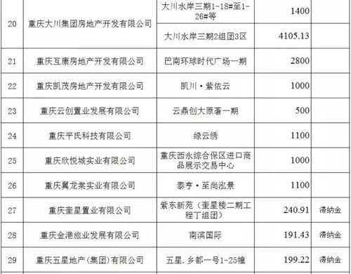 重庆知名房地产开发商（重庆知名房地产开发商名单）