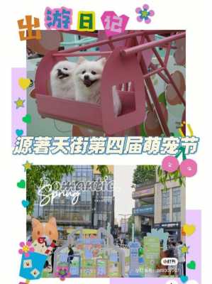 重庆宠物节（重庆宠物展览）