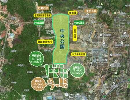 重庆中央公园片区规划（重庆中央公园片区规划最新）-图2