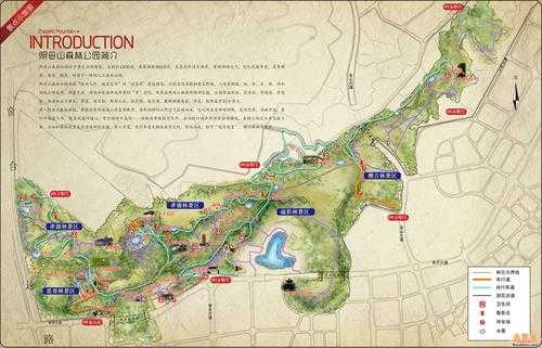 重庆照母山地理位置（重庆照母山风景）-图2