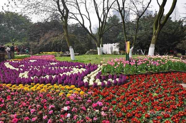 2015重庆花卉园（重庆花卉园的最新规划）