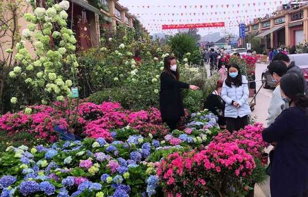 重庆最大花市（重庆最大的花市场）