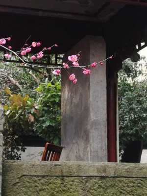 重庆梅花碑（梅花碑附近的景点）-图3