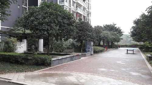 重庆菜园路（重庆菜园路6号是哪里）