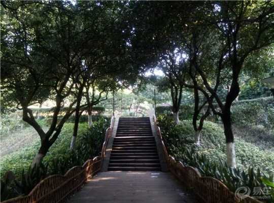 重庆市北碚公园（重庆市北碚公园开放了吗）