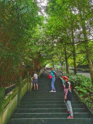 重庆周边森林公园（重庆周边森林公园有哪些景点）