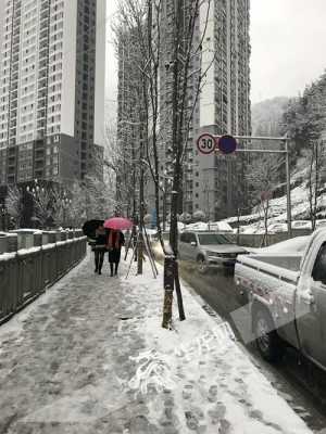 重庆城口下雪（重庆会下雪吗）