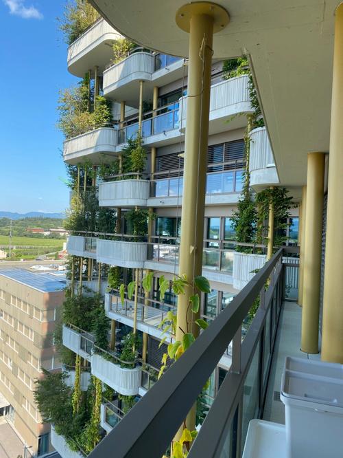绿化公寓（绿化房子）-图3